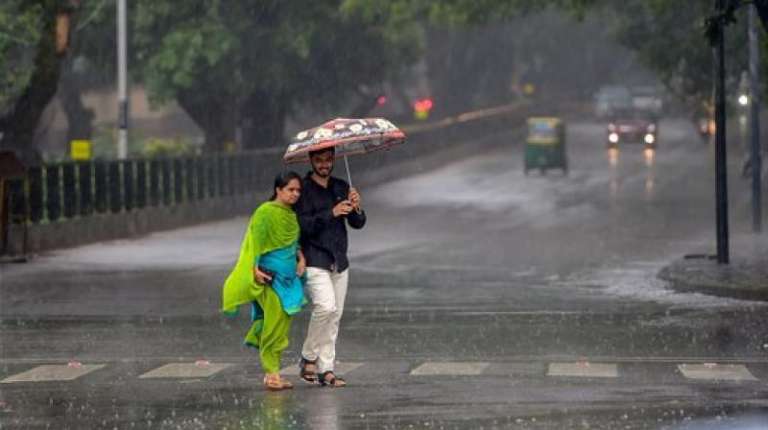 Ways To Protect Yourself from Vector-Borne Diseases This Monsoon