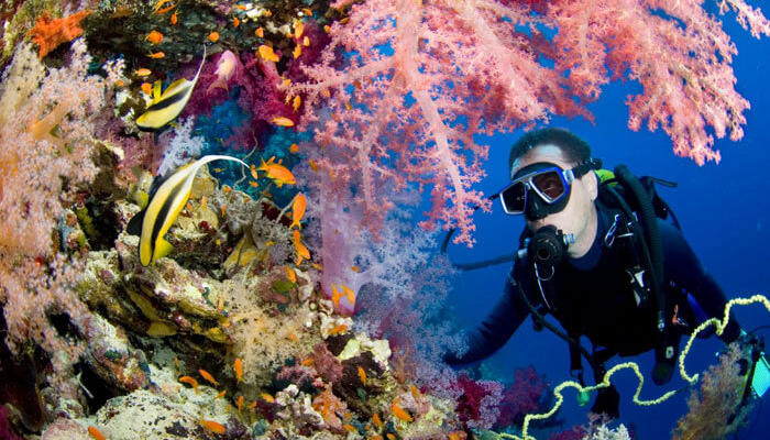 Most Favorable Places Around the World for Scuba Diving