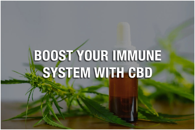 Improve Your Overall Health That CBD Boost Your Immune System