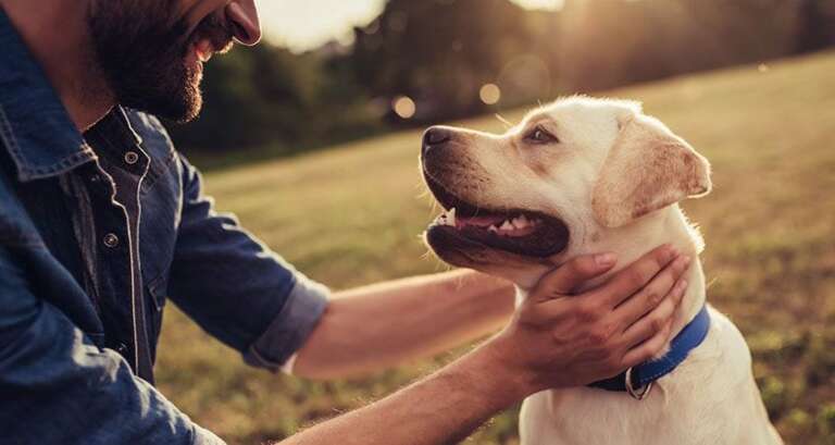 Tips to keep your Dog Healthy