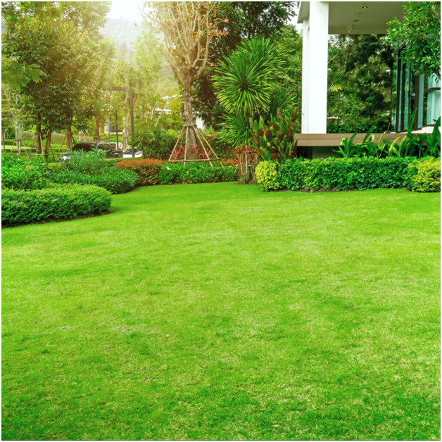 7 Ways to Maintain your Lawn and Garden