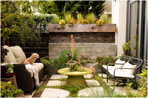 Best Ways to Manage a Garden at a Small Space