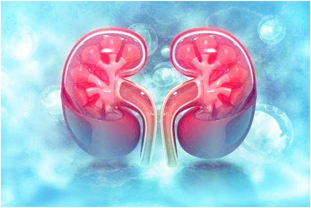 7 Signs Of Dysfunctional Kidney
