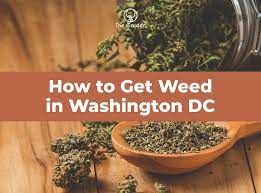 How to Get Weed in DC? Now Get Official Guidance
