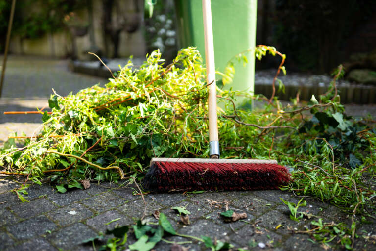 Garden Waste Collection Brighton: Keeping Your Outdoor Space Pristine