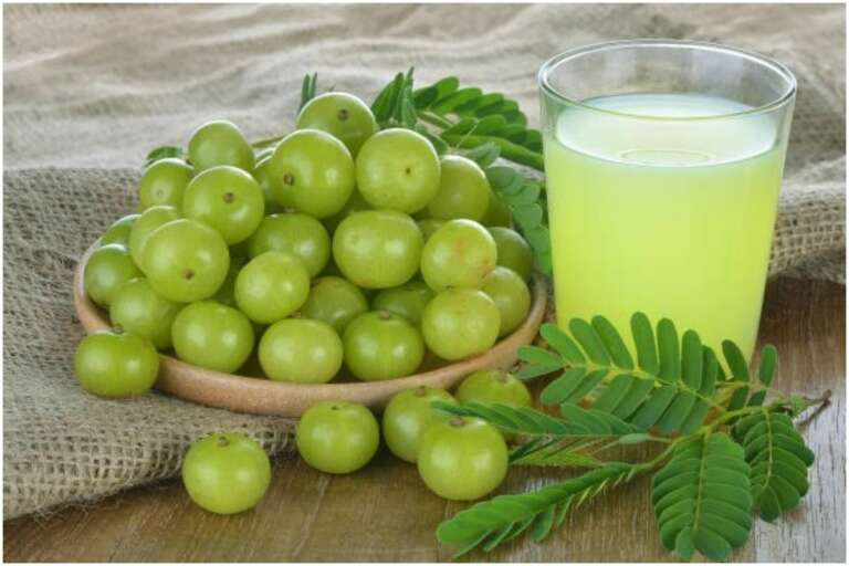 Detailed Project Report on Amla Juice Manufacturing Plant 2023: Machinery and Raw Materials