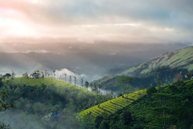 Top Offbeat Places to Visit on Your 7 Days Kerala Trip