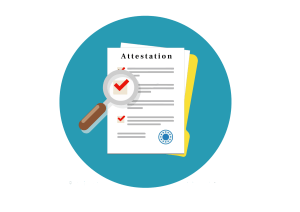 What is the procedure for Transfer Certificate Apostille?